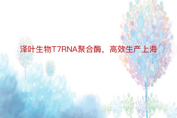 泽叶生物T7RNA聚合酶，高效生产上海