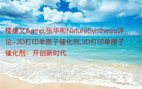 楼雄文&张华彬NatureSynthesis评论-3D打印单原子催化剂,3D打印单原子催化剂：开创新时代